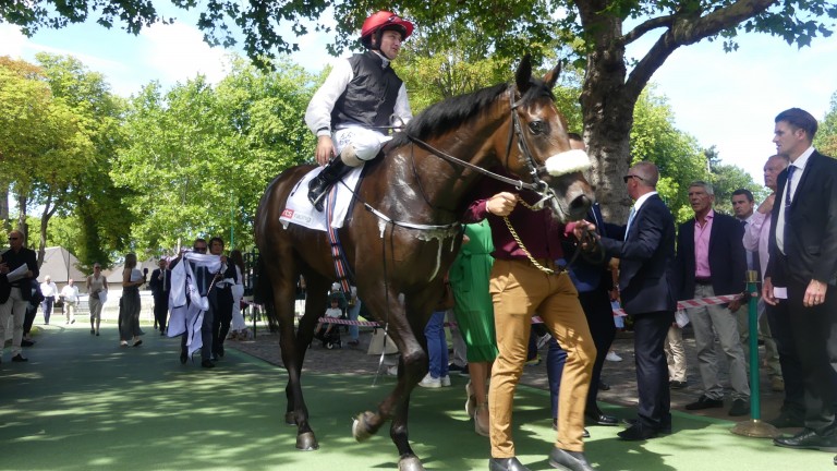 Shane Foley and Trevaunance back in the Deauville winner's enclosure after the Prix de Psyché
