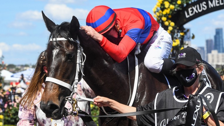Verry Elleegant: nine-time Group 1 star and Melbourne Cup heroine, he misses Sunday's Arc