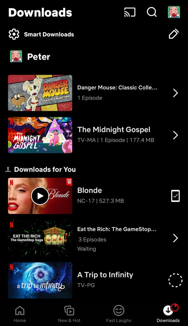 A screenshot of the Netflix Downloads tab on iPhone