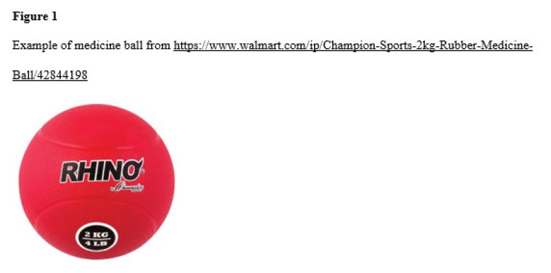 Example of medicine ball from https://www.walmart.com/ip/Champion-Sports-2kg-Rubber-Medicine-Ball/42844198