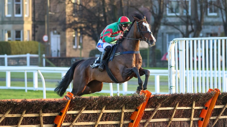 Tommy's Oscar: Could make his hunting debut in Carlisle on Thursday