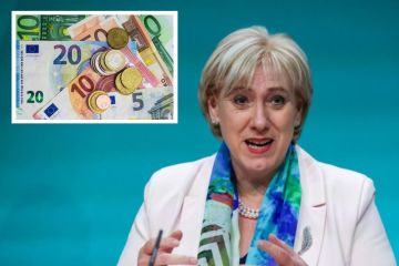 90,000 additional Irish people receive €462 lump sum or €33 weekly payment in WEEKS